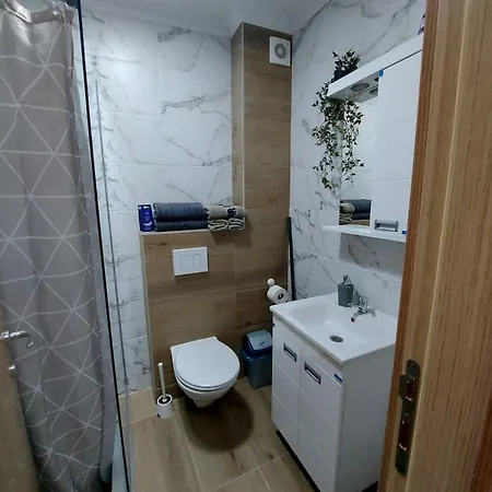 Apartment Davidovic Md 1 *