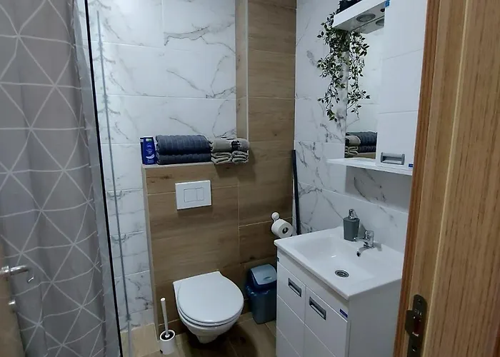 Διαμέρισμα Davidovic Md 1 *